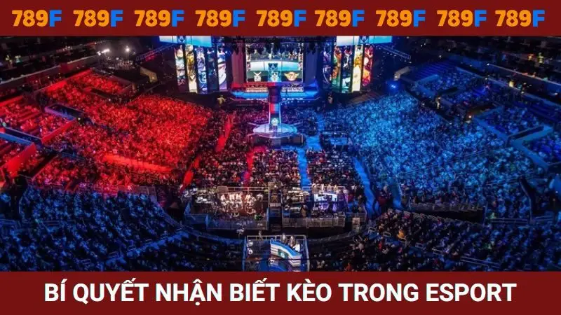 Bí kíp nhận biết kèo thơm trong Esport